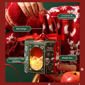 Ornements lot de 5 boîte d'emballage de fruits de la paix de noël boîte de pommes coffret cadeau exquis carton d'emballage portatif